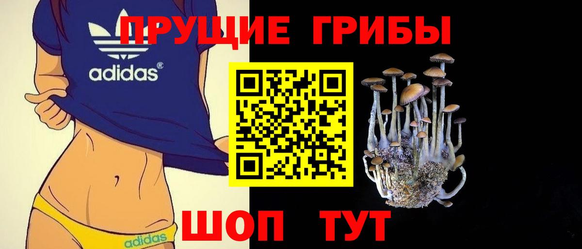 Галлюциногенные грибы Cubensis  купить закладку  Зерноград  Псилоцибиновые грибы мицелий  Вход с VPN 